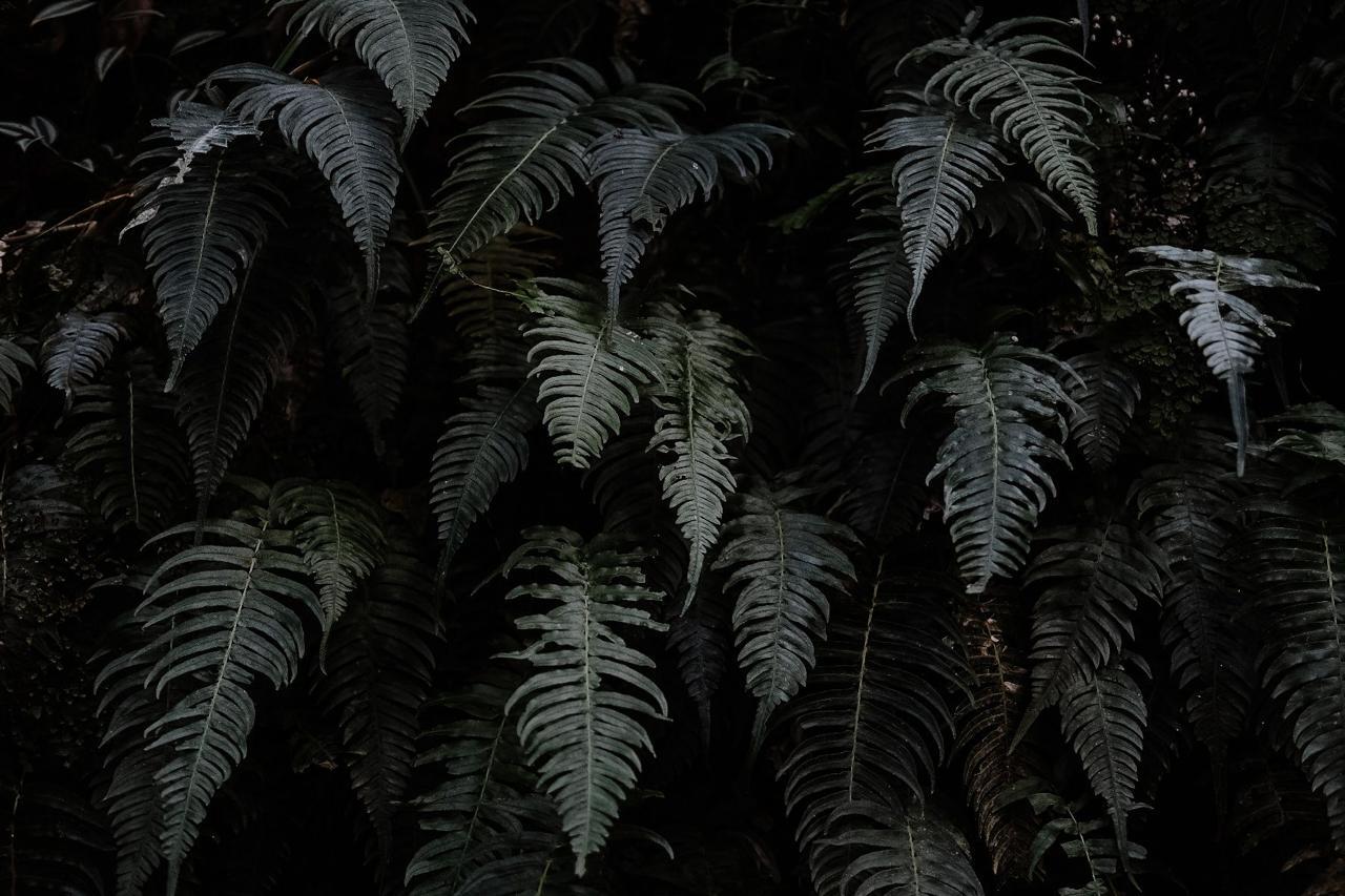 WhatsApp Image 2025-01-24 at 5.46.41 AM (9)